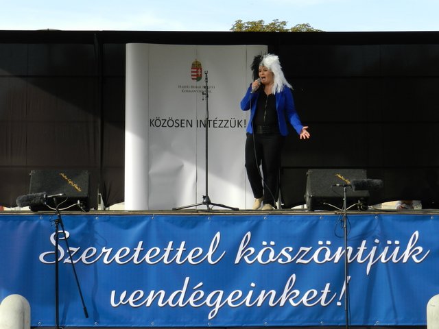 Megyei Közfoglalkoztatási Kiállítás 154